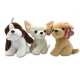 Perros 25 cm -3 Modelos